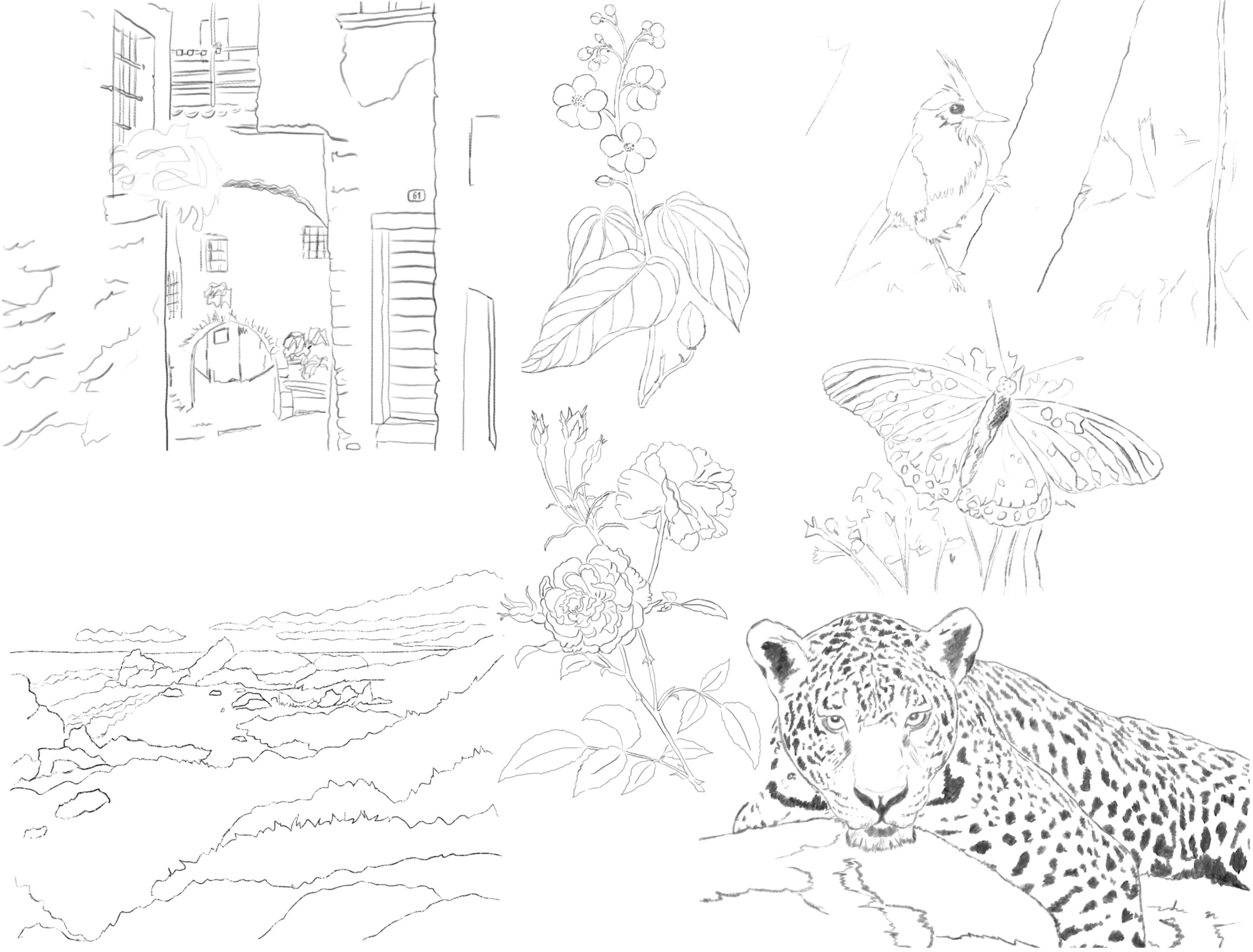 Sketches view